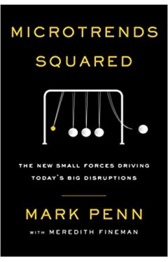 Microtrends Squared: The New Small Forces Driving Today's Big Disruptions Paperback